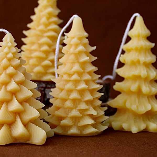 Evergreen Beeswax Candle