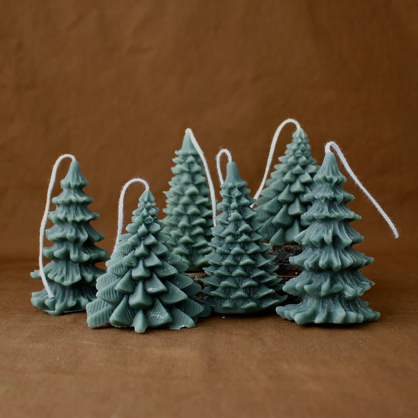 Forest Evergreen Beeswax Candle