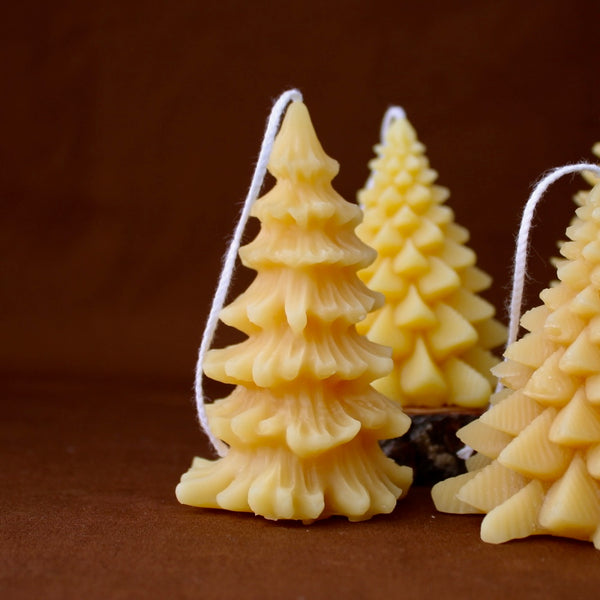 Evergreen Beeswax Candle