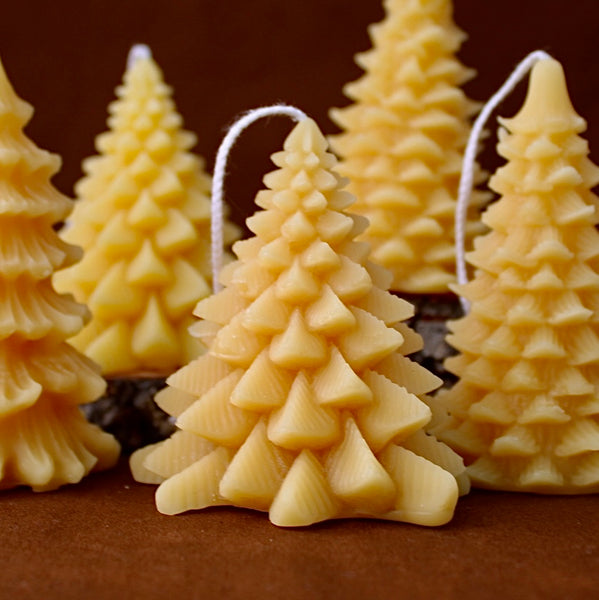 Evergreen Beeswax Candle