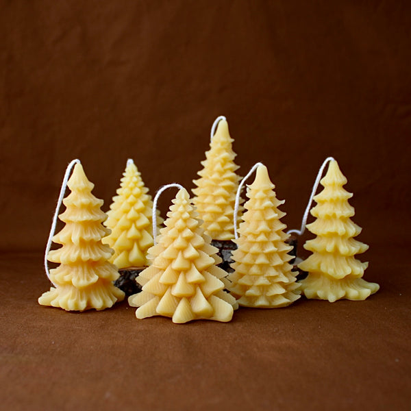Evergreen Beeswax Candle